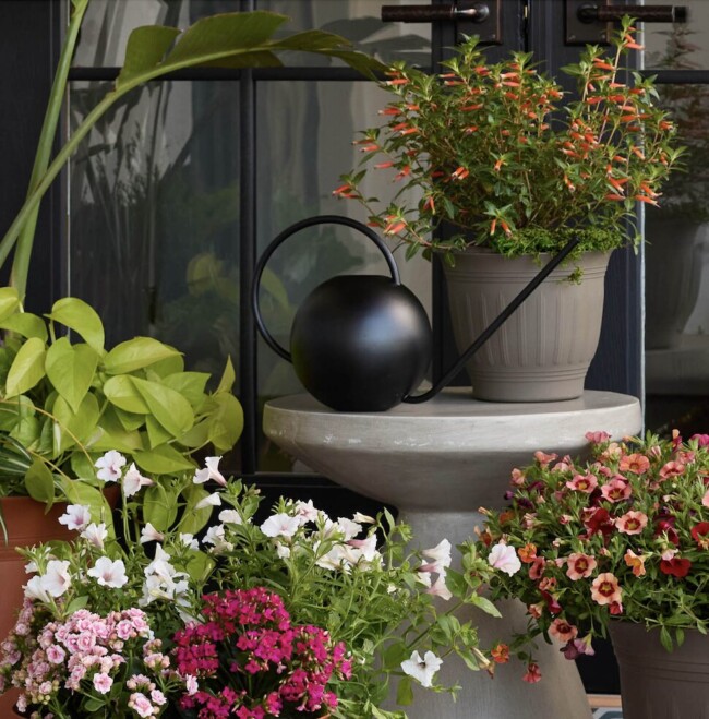 Fresca Watering Can - Image 3